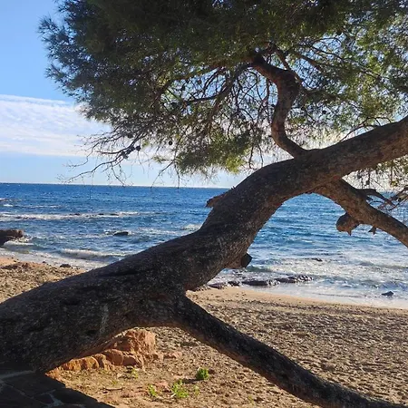 Apartment T2 Meuble A 300m De La Saint-Raphael (Var)