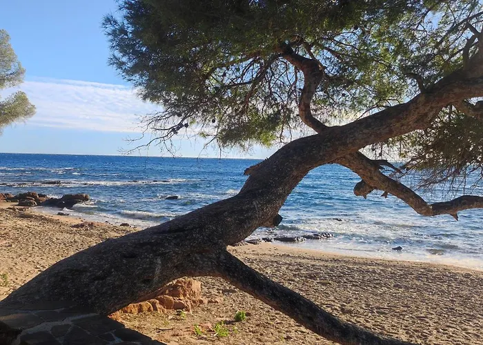 Apartment T2 Meuble A 300m De La Saint-Raphael (Var)