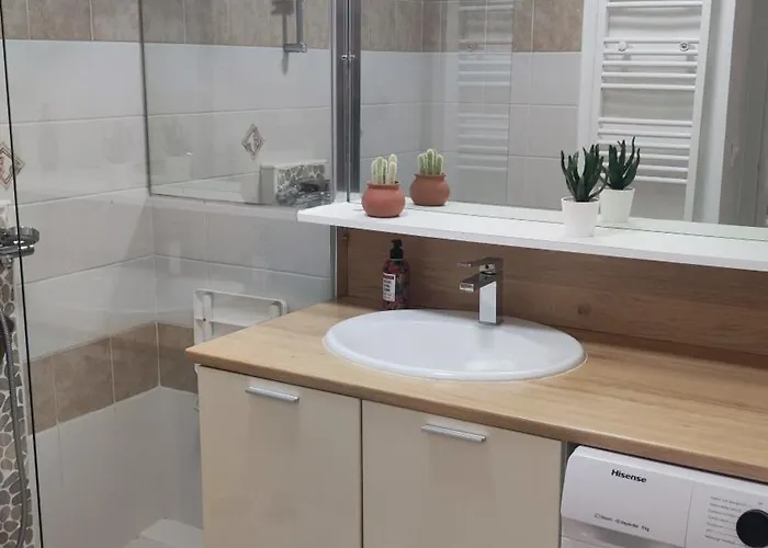 Apartment T2 Meuble A 300m De La Saint-Raphael (Var)